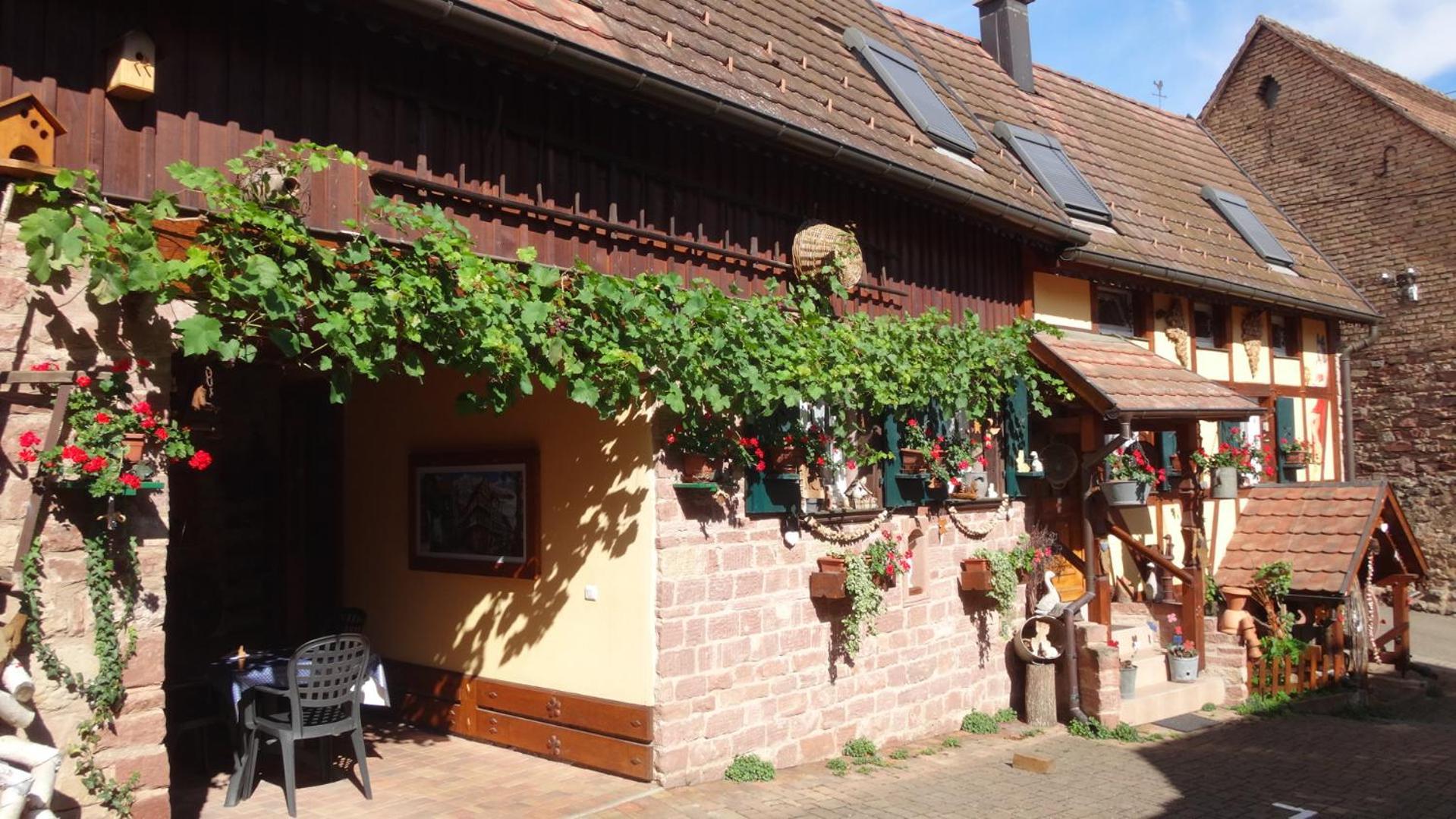 Le Petit Moulin Ferienhaus Rosenwiller