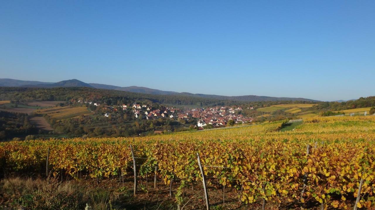 Le Petit Moulin Ferienhaus