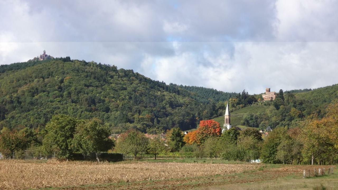 Le Petit Moulin Rosenwiller