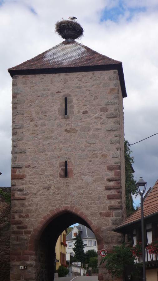 Le Petit Moulin * Rosenwiller