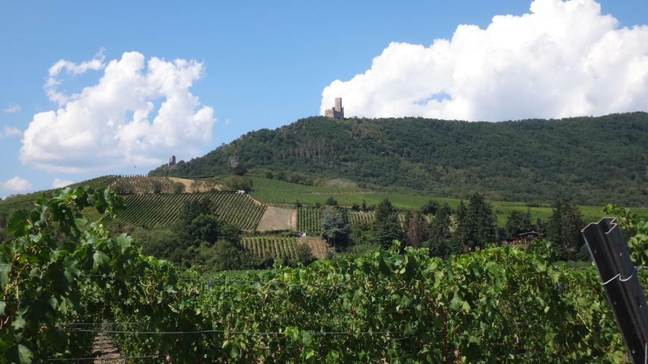 Le Petit Moulin * Rosenwiller